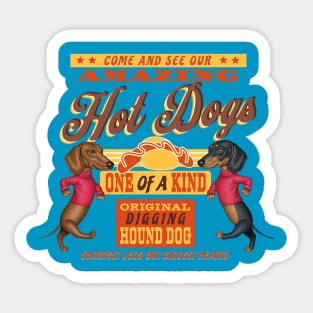 Funny doxie Dogs on an Amazing Dachshunds tee Sticker